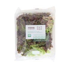 친환경 적상추 150g