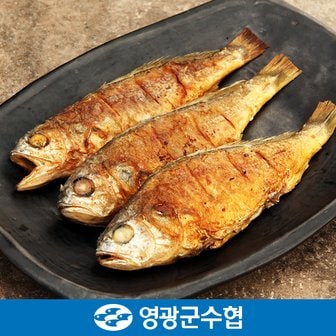 영광군수협 [냉동][영광군수협]법성포 영광 굴비 세트 1.3kg(지퍼백/20미)