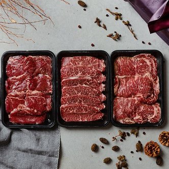 참다올 특수부위3종 선물세트1.2kg(새우살,꽃살,채끝갈비살,각400g)