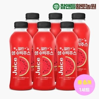  데이앤 얼린 생 수박주스 300ml x 6병 1세트