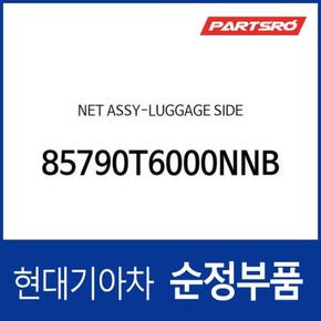 네트-러기지 사이드 (85790T6000NNB) 제네시스 GV70 전기차