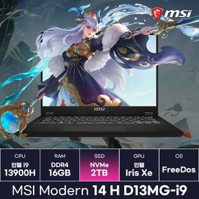 MSI 모던14 H D13MG-i9 인텔 i9 13세대 2024 최신모델 PD충전 초경량노트북 (2TB) / ICDI
