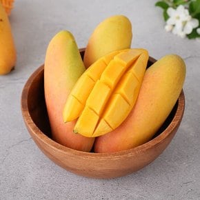 태국 마하차녹 무지개 망고 4-6과 2kg 내외