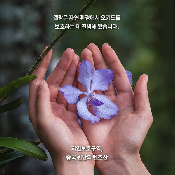 상품이미지0