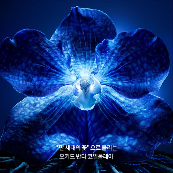 상품이미지5