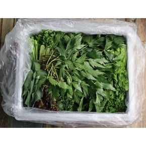 모듬쌈 모둠 쌈 채소 샐러드채소 13종 쌈야채 로메인 케일 600g 1kg 2kg