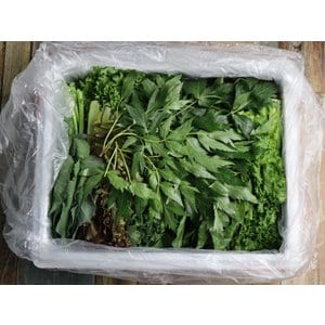 약이되는밥상 모듬쌈 모둠 쌈 채소 샐러드채소 13종 쌈야채 로메인 케일 600g 1kg 2kg