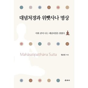 대념처경과 위빳사나 명상 : 이와 같이 나는 대념처경을 읽었다 (양장)