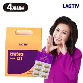 간건강 밀크씨슬 실리마린 120정/4개월분 (선물박스)