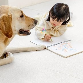 [펫노리터] 셀프시공 펫 강아지 고양이 롤매트 묘하개끌리지 / 1.7cm / 130폭 / 1M