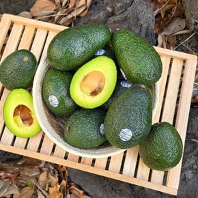 칠레 페루산 아보카도