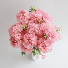 왕카네이션조화 (S8518081)