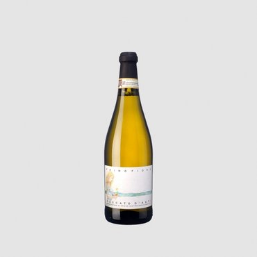 WINE&MORE 스칼리올라 프리모 피오레 모스카토 다스티 750mL