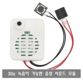 P085 보이스 레코더 음성 사운드 녹음 재생 모듈 30초