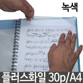 플러스 화일 30p A4 스프링 서류 문서 보관 케이스 (W3AA842)