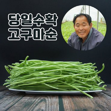 미스터팜팜 나물 당일채취 이영만 생고구마순 고구마줄기 청대 2kg