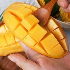 [항공직수입] 태국 골드망고 4kg (8-12과)