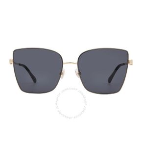 5038178 Jimmy Choo Grey Butterfly Ladies Sunglasses