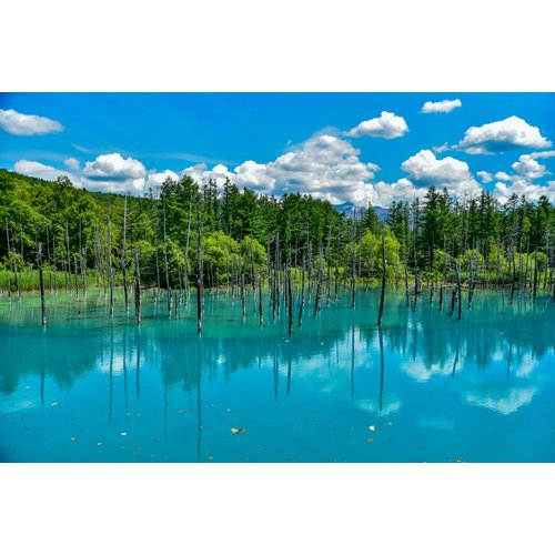 https://media.eoding.com/media/travelagent/205/imagecontent/아오이이케여름210511_1_l_fTtWpWZ.jpg