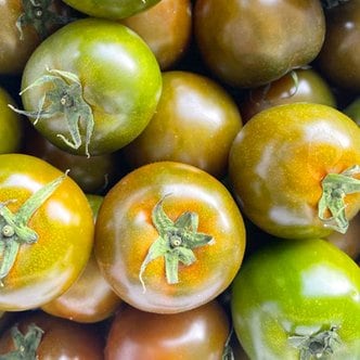 참다올 계절과일-흑토마토 2.5kg(1-3번)