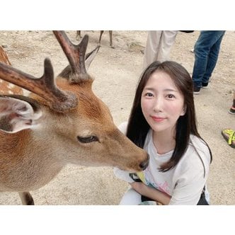  [베테랑가이드] 오사카 교토 나라 버스 투어 1일 여행 사슴공원 은각사 일일 소소버스투어