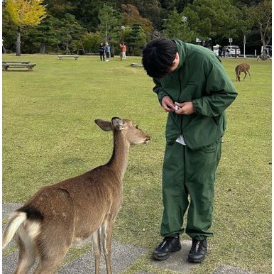 [베테랑가이드] 오사카 교토 나라 버스 투어 1일 여행 사슴공원 은각사 일일 소소버스투어