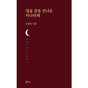 얼음 강을 건너온 미나리체 - 달아실시선 37