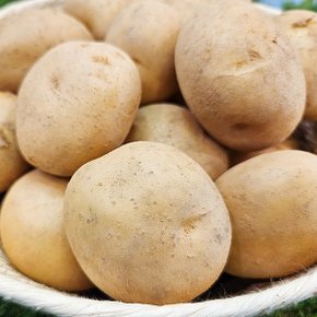 수미감자 소사이즈 2kg