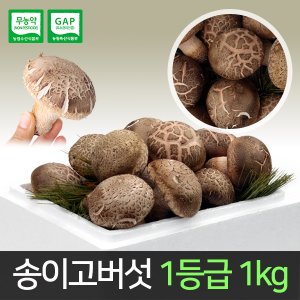  [산지직송] 송이고버섯 1등급 1kg /당일수확