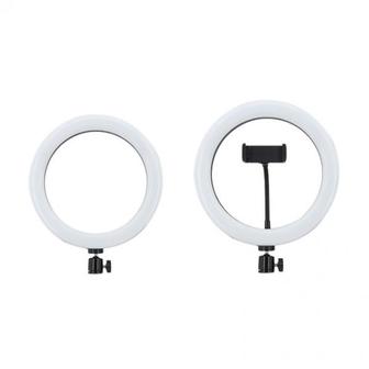 4. 제이큐 링라이트..