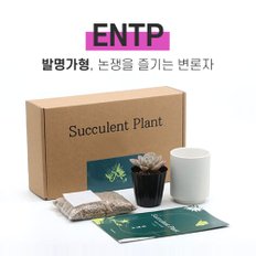 나만의 MBTI 미니 다육이 키우기 키트 ENTP