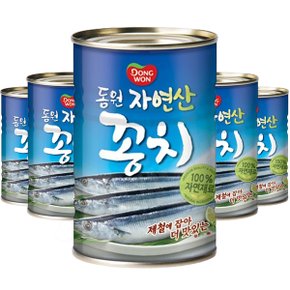 동원 자연산 꽁치 통조림 캔 300g 5개