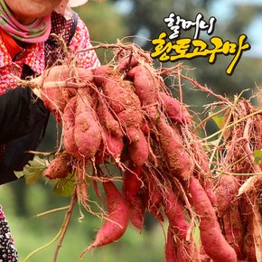 [할머니고구마] 무안 세척 꿀 고구마 베니하루카 소 3kg (50g~80g/개)