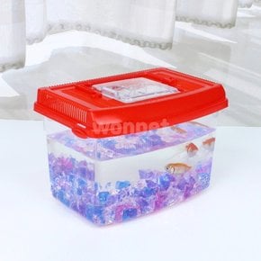 대일 사각 라운드 채집통 중 곤충 물고기 햄스터