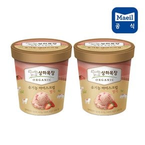 상하목장 아이스크림 딸기 (파인트) 474ML 2개입/아이스크림