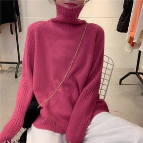 루이터틀니트_