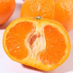 캘리포니아 만다린 4kg(35-45과)