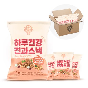 리얼넛츠 하루건강견과스낵 20g * 100봉(벌크 포장)