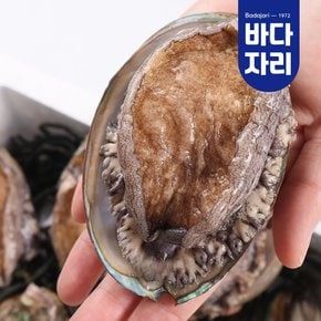 [산지직송] 완도 활전복 1kg 완도전복 산소포장 참착한전복 22-25미