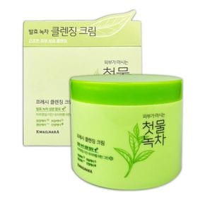 IS-SA 첫물녹차 프레시 클렌징 크림 300g