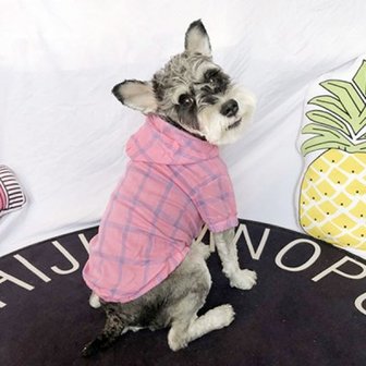 텐바이텐 강아지 여름옷 티셔츠 시원한후드티 바람막이