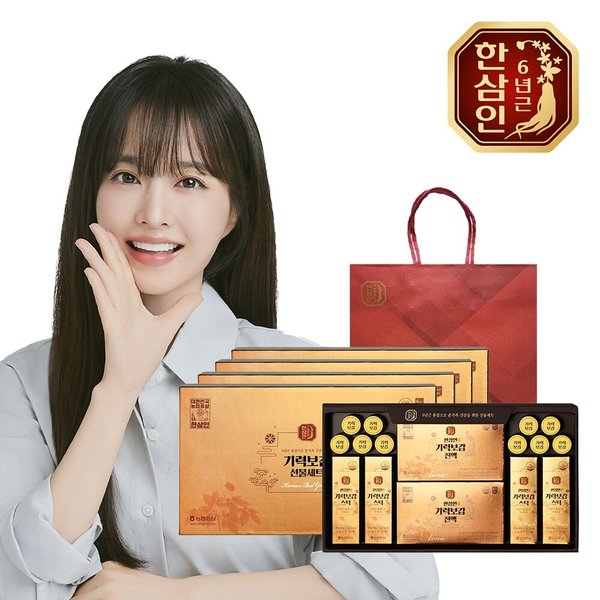 [농협홍삼] 한삼인 기력보감 선물세트 4세트+쇼핑백