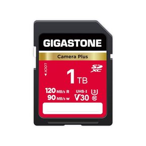 Gigastone SD카드 1TB Camera Plus, V30 SDXC 초고속