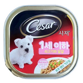 시저캔 1세 이하 100g (쇠고기와 달걀)