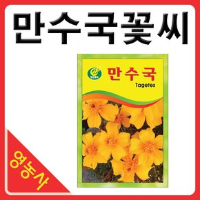 만수국씨앗 약50립