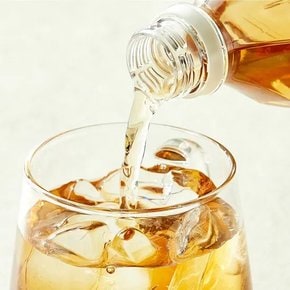 햇반 파로 누룽지차 500ml X 6 개