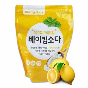 감동 베이킹소다 2kg 식기세척 과일세척 청소용세제