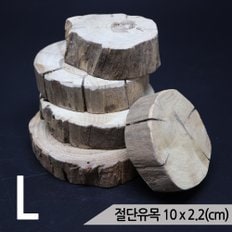 절단유목(L) 9 x 2.2cm(3p) 수족관 나무받침 어항유목