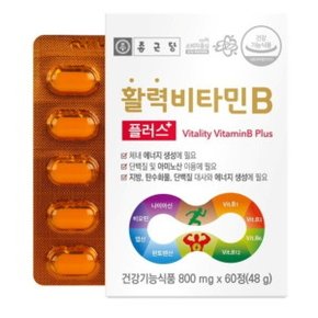 종근당 활력 비타민B 플러스 800mg x 60정