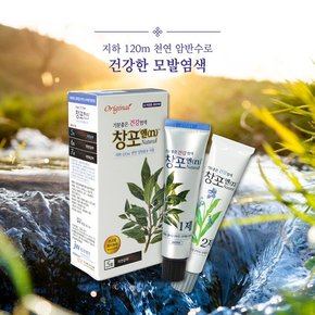 중외제약 창포엔 내추럴 5호 자연갈색 60g 친환경 프리미엄 새치염색약